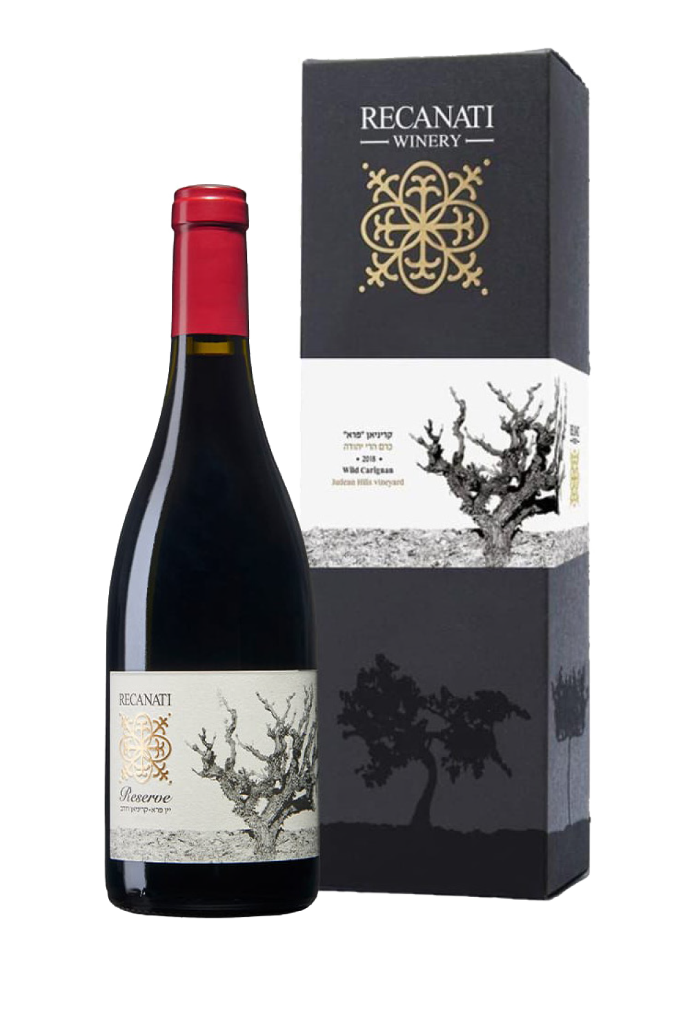 Red wine bottle with matching box from Recanati Winery on a white background